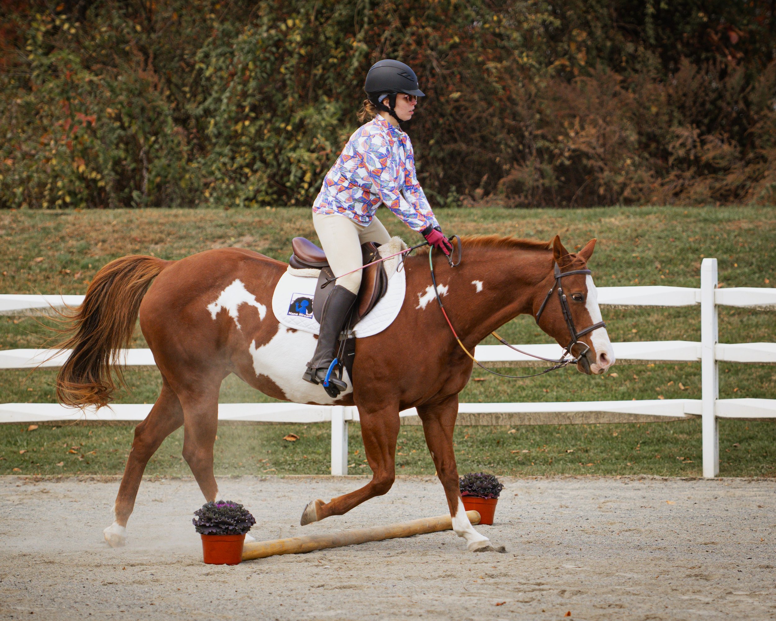 DSC_3463-land.jpg