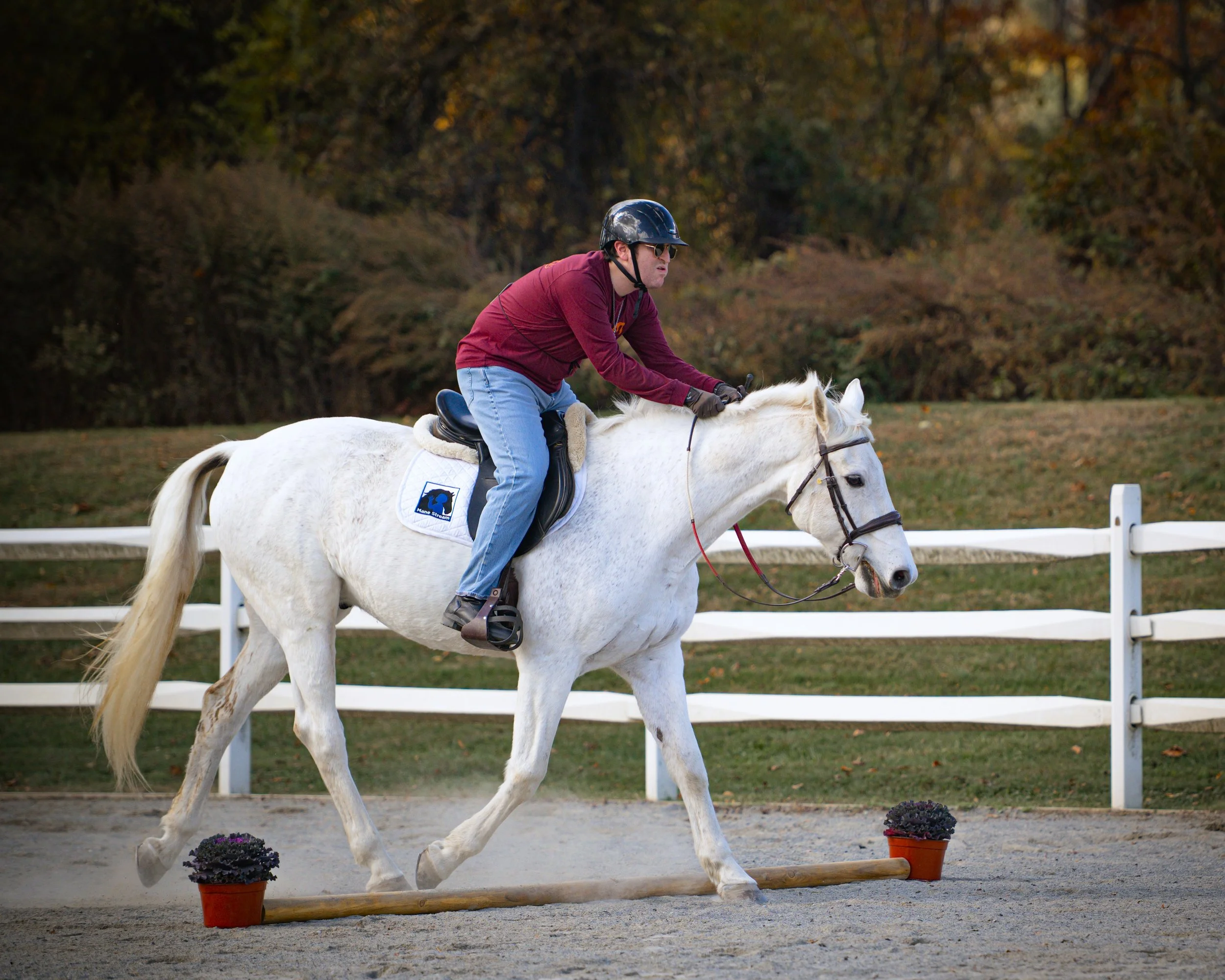 DSC_3650-land.jpg