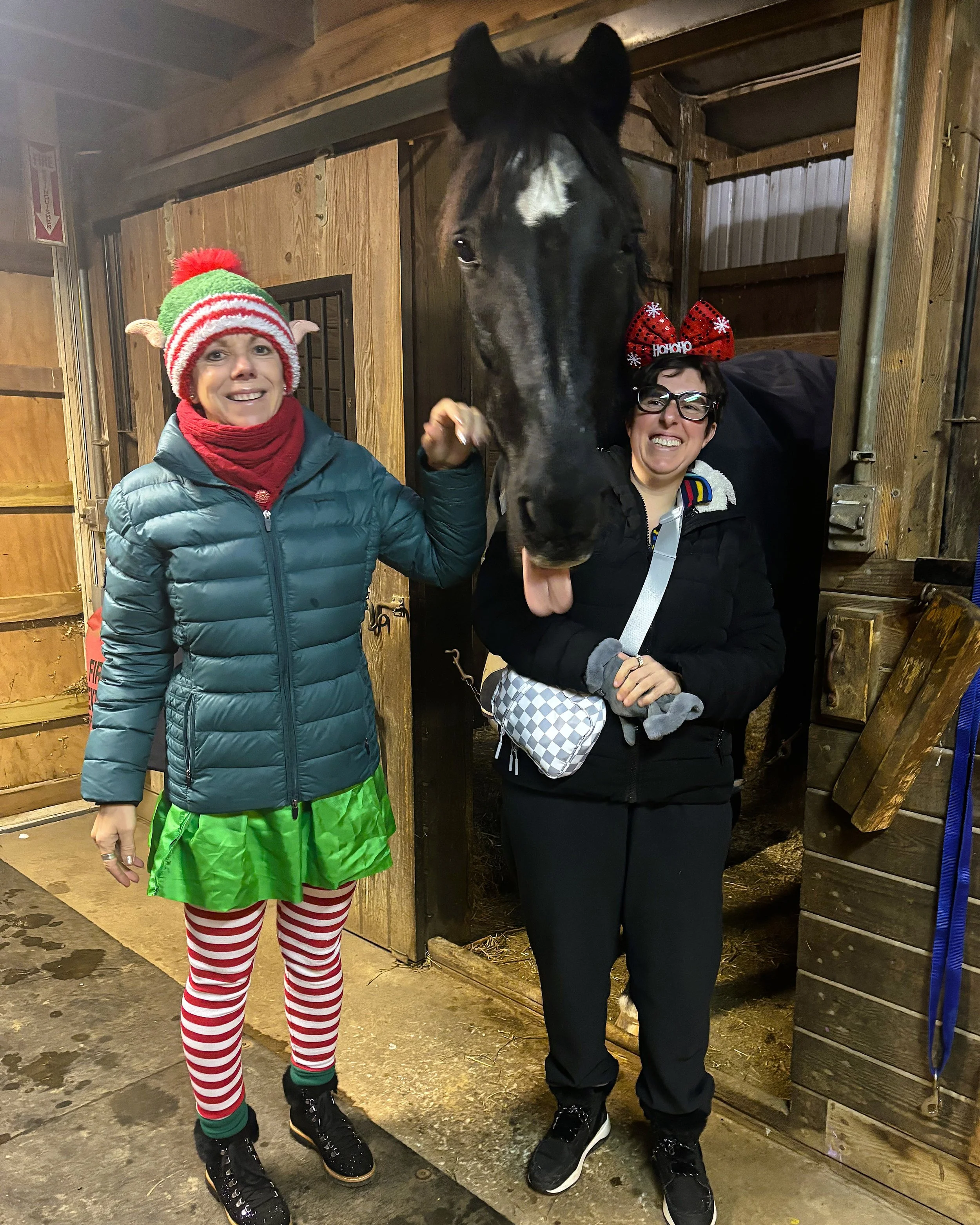 image1 (6)-port.jpeg