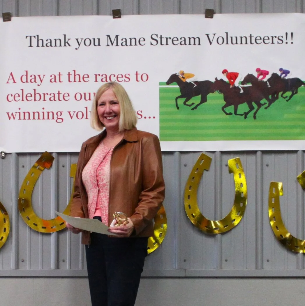 2012- Vol Party - Debi Delorenzo.jpg