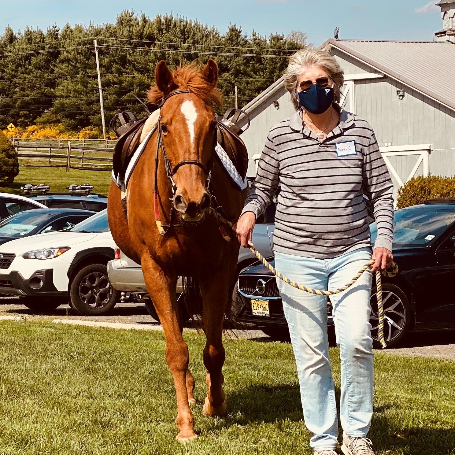 Tuesday - Nancy C.jpg