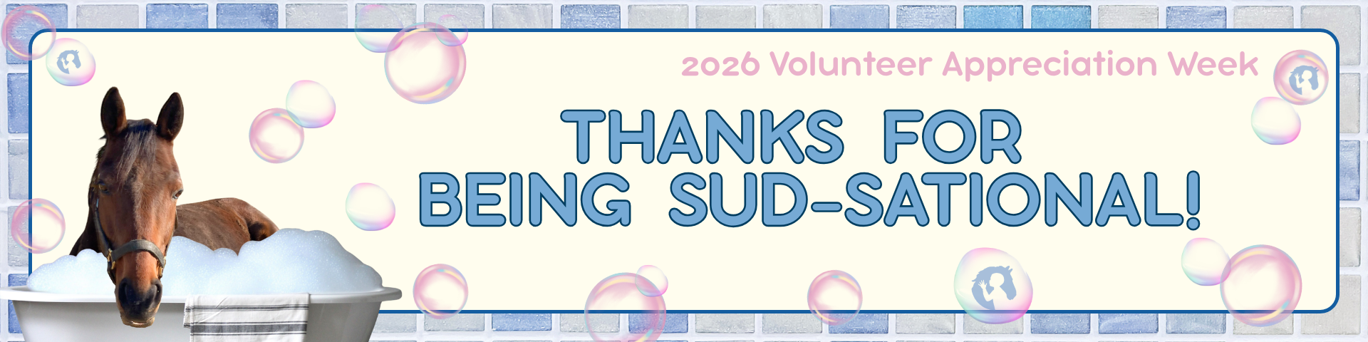 Email Banner (3).png