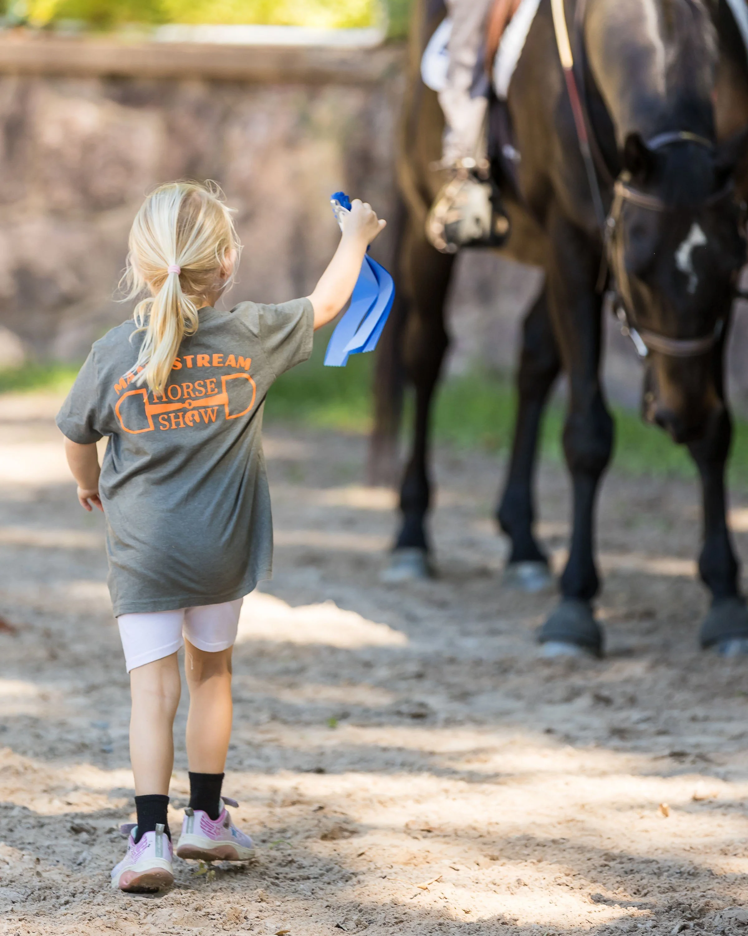 mane_stream_2026-75-ribbon-runner.jpg