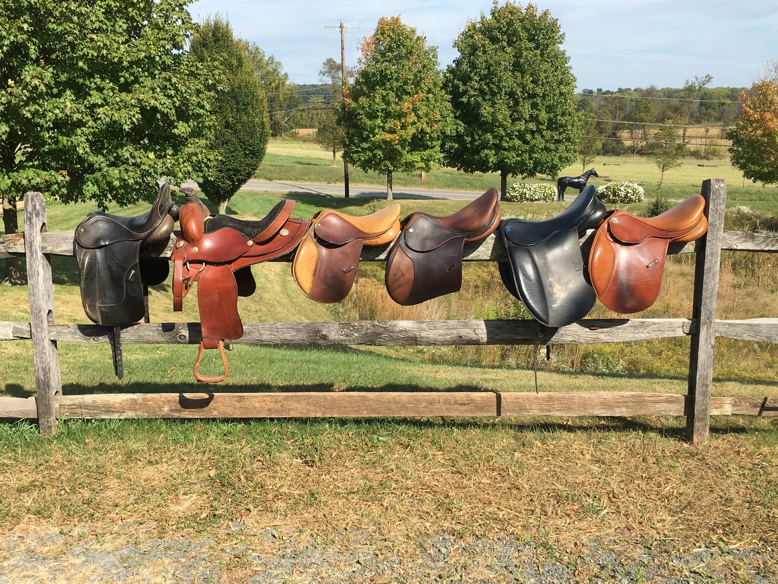 2017 Fall Saddles.jpg