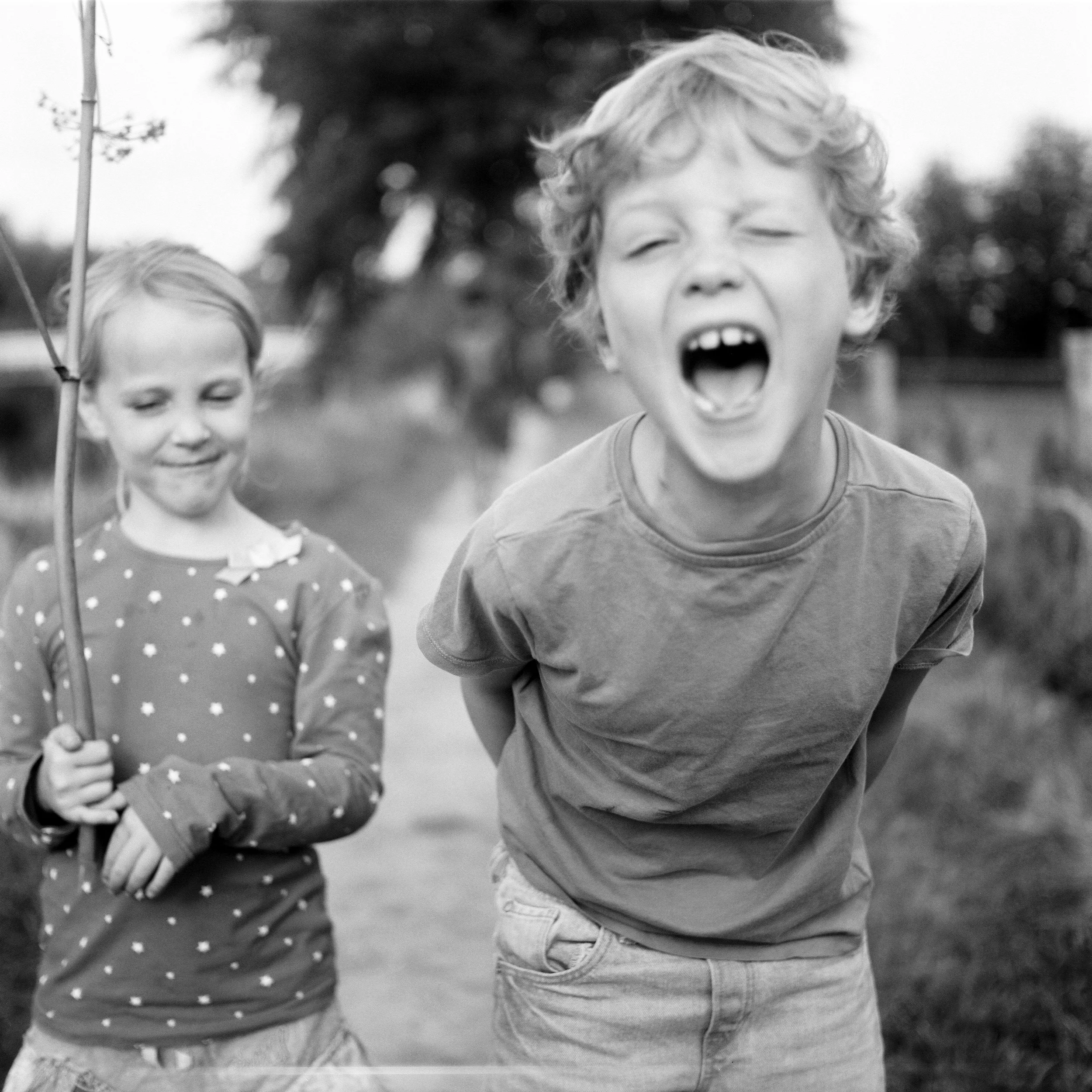 Rhijnauwen, a long walk