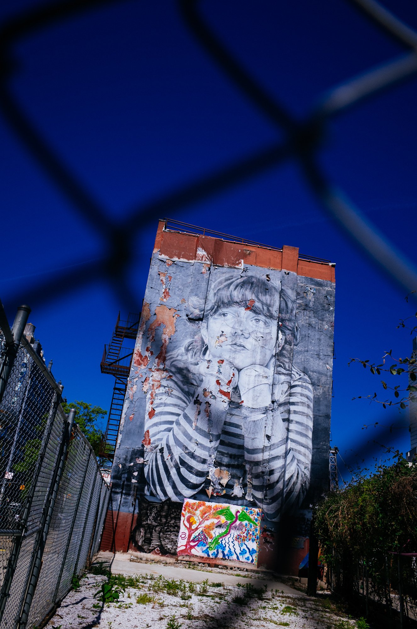 R0000710.jpg