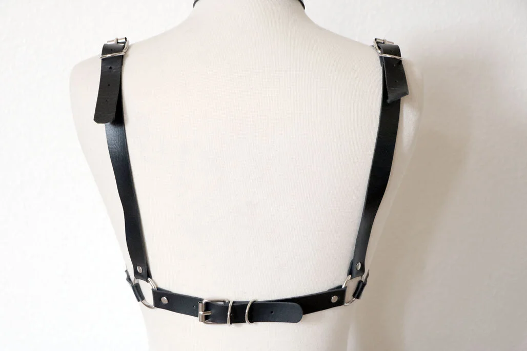 pentagram-harness-6.jpg