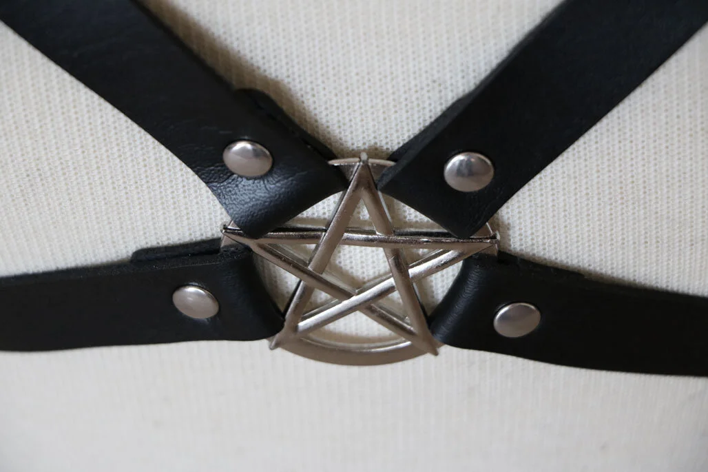 pentagram-harness-3.jpg