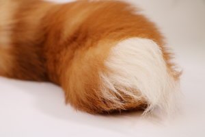 Bleached Crystal 2.jpeg