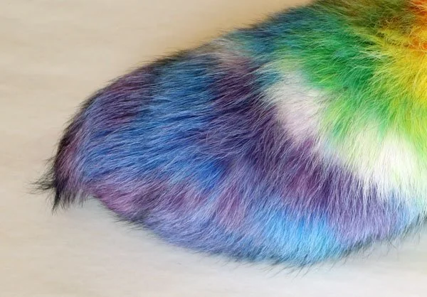 blue-fox-dyed-red-yellow-green-blue-3.jpg