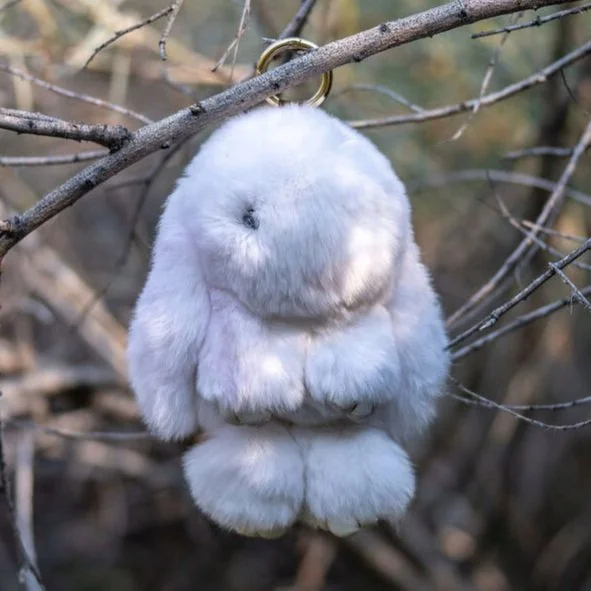 rexrabbit%2Bandrew.jpg
