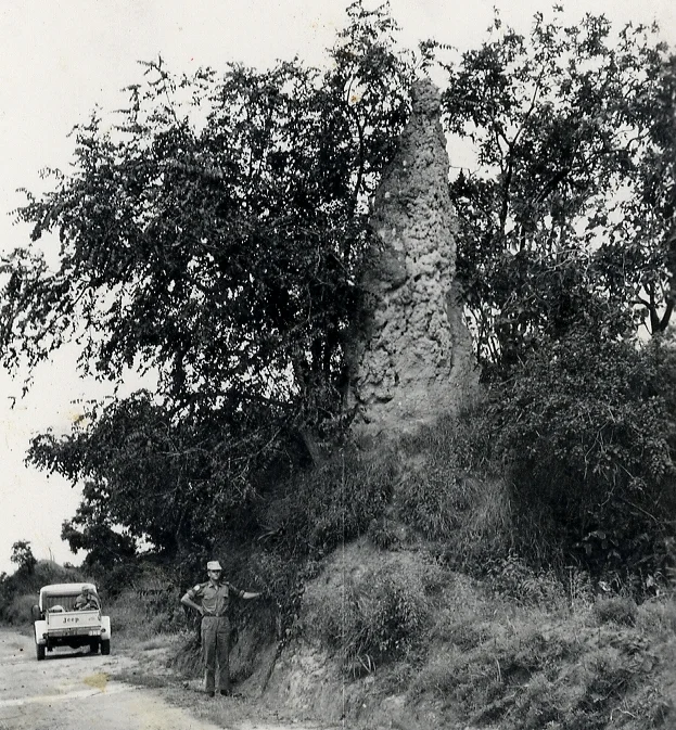 117.jpg