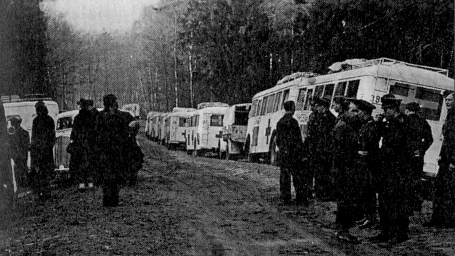 Foto från Löjtnant Hallquists dagbok, några av de Vita bussarna som pausat längs vägen.