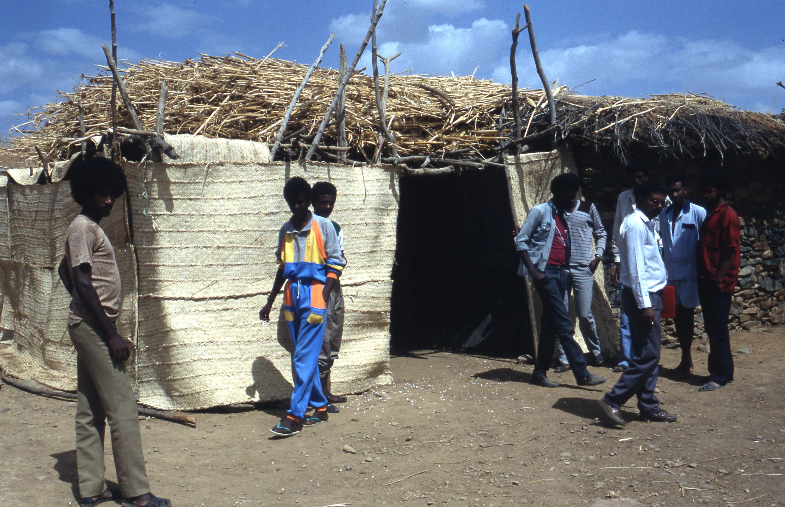 Nilsson, Per_12_334_382.jpeg