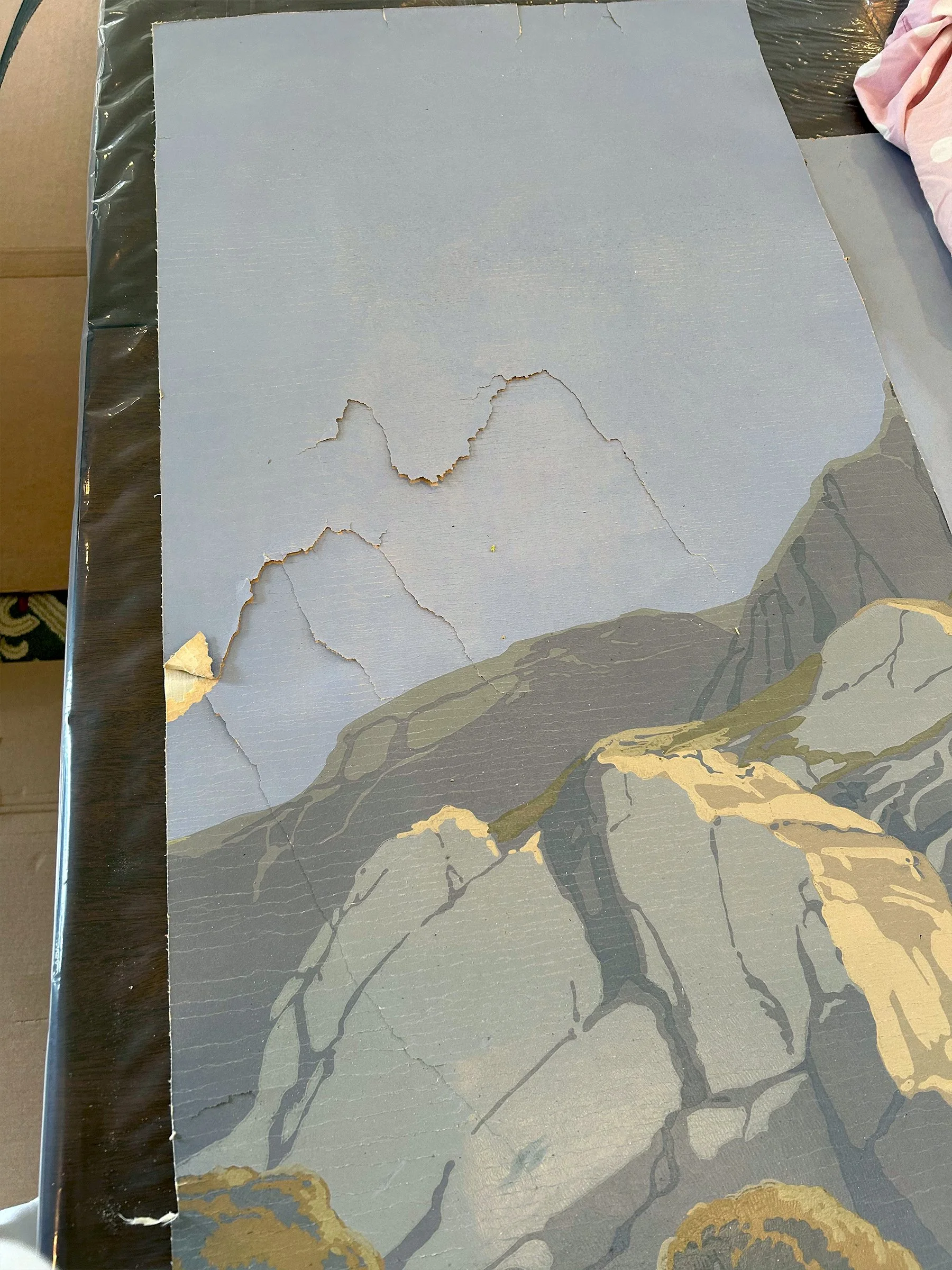 Close-up of damage and wear on Les Zones Terrestres wallpaper panels