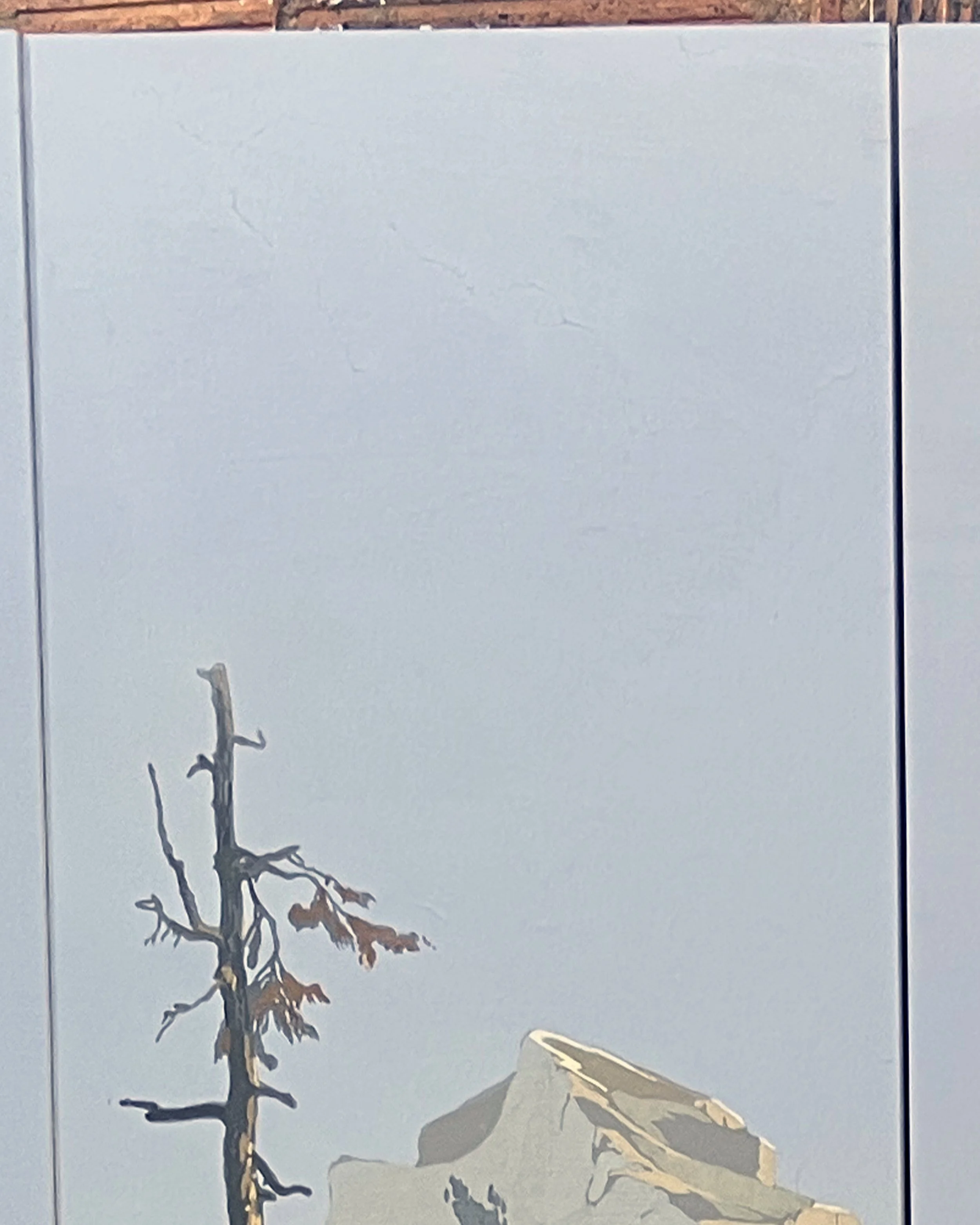 After restoration of antique Zuber Les Zones Terrestres wallpaper