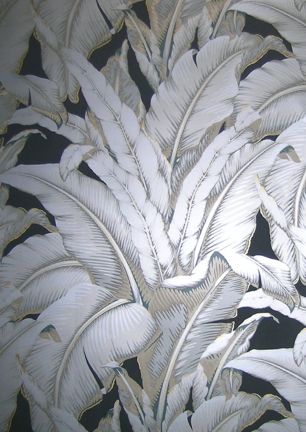 Copy of DSCN8092.JPG