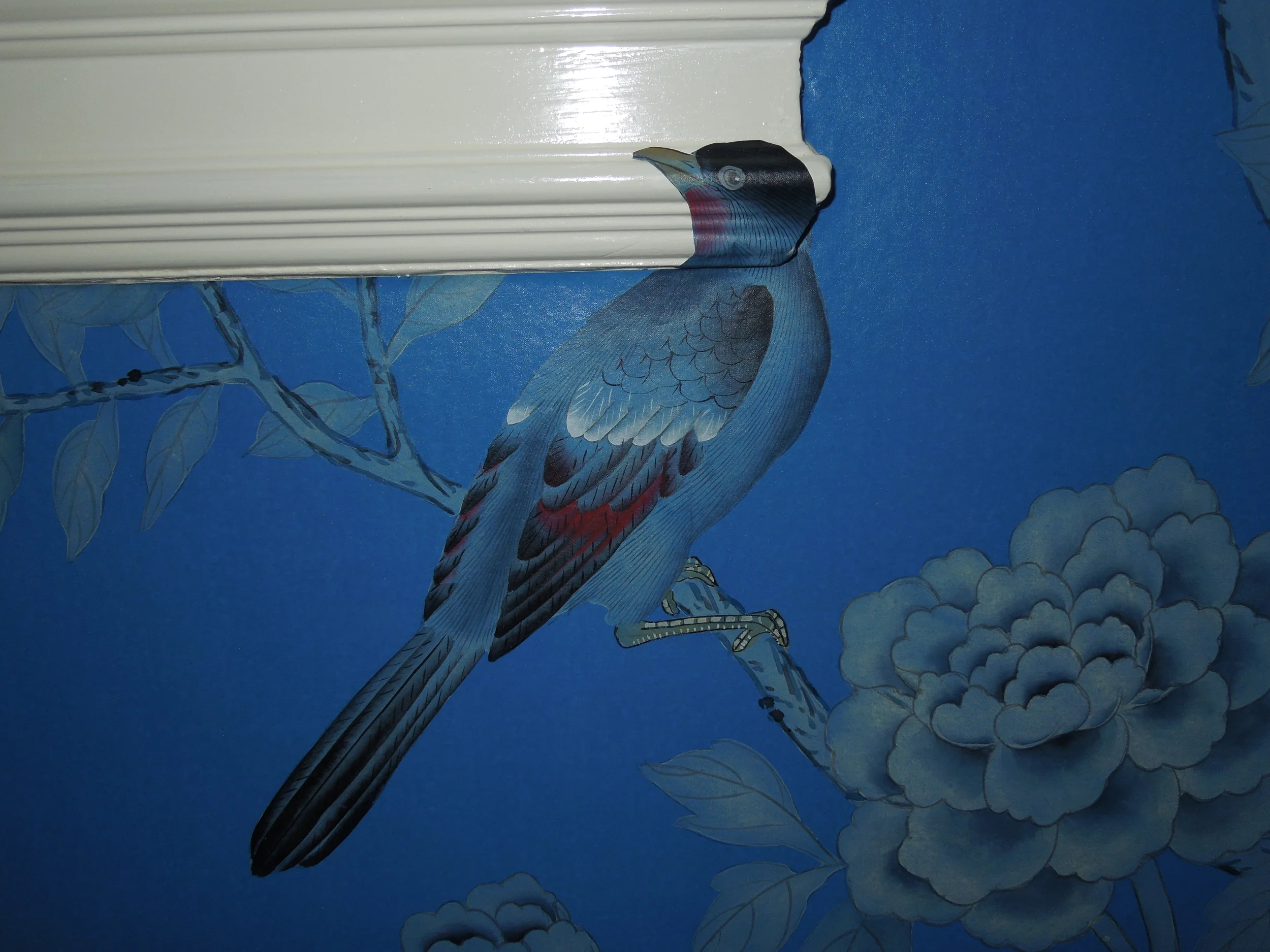 DSCN7036.JPG