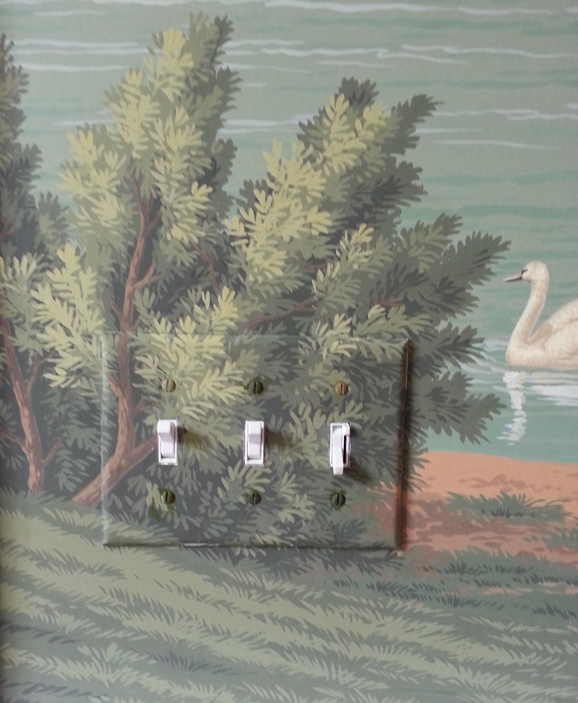 20130826_131307.jpg