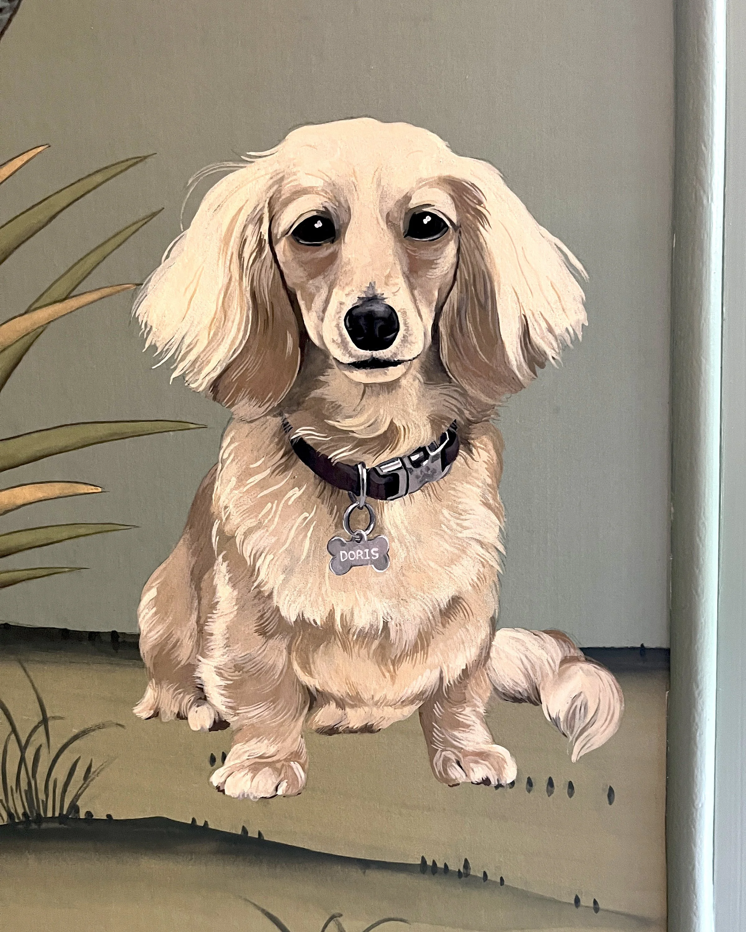 Doris1.jpg