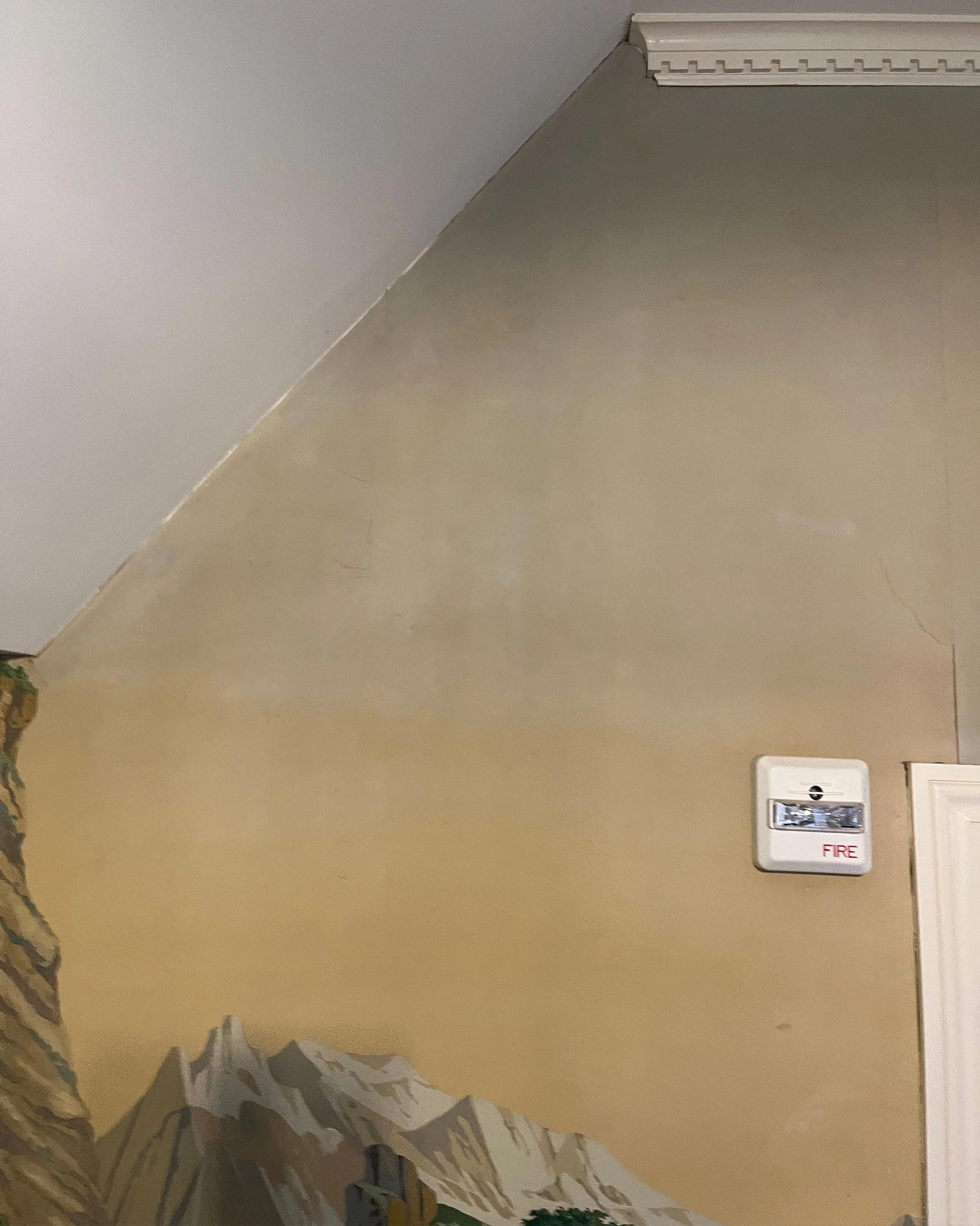 Before restoration of Zuber Les Vues de Suisse wallpaper at Greenwood Gardens