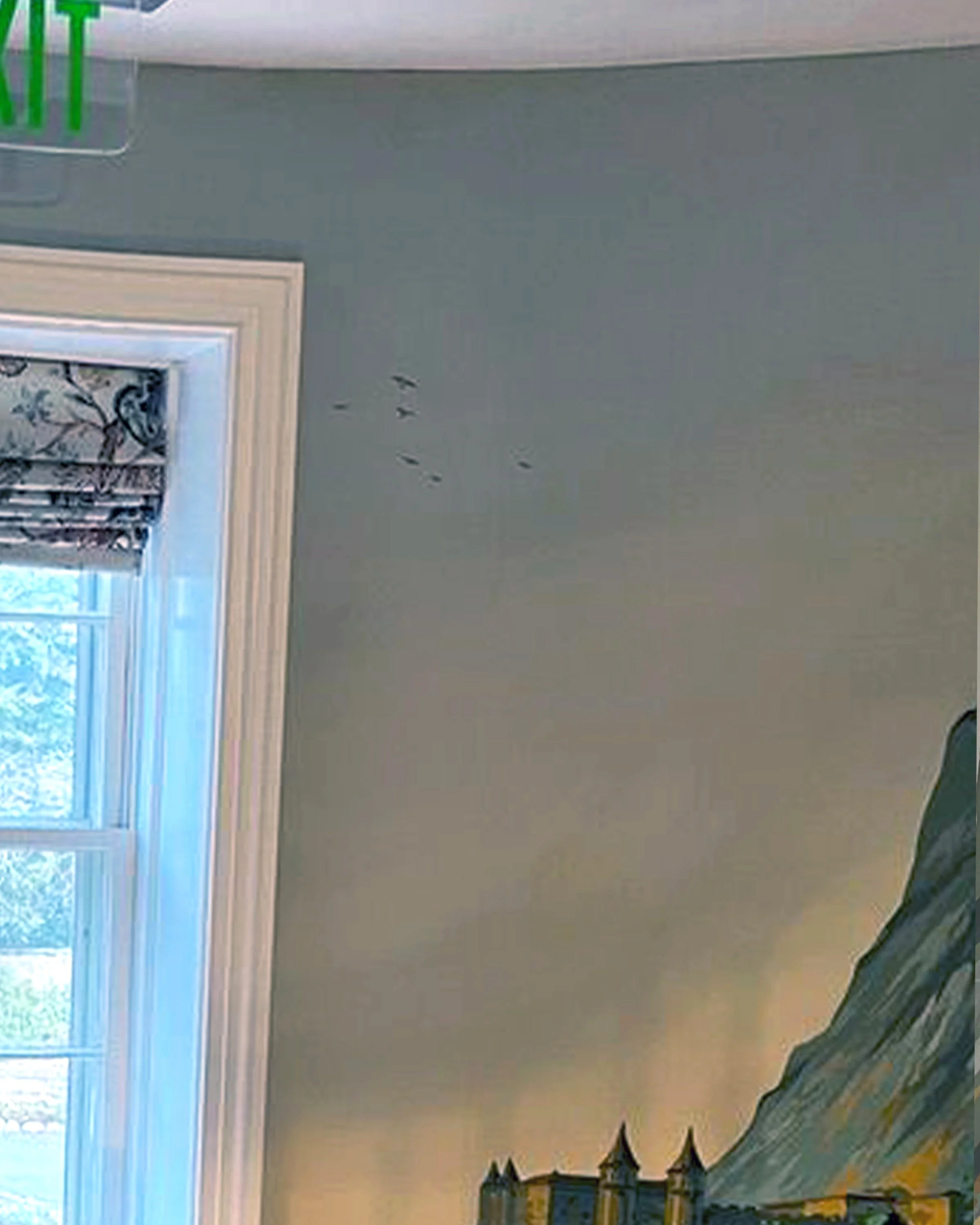 After restoration of Zuber Les Vues de Suisse wallpaper at Greenwood Gardens