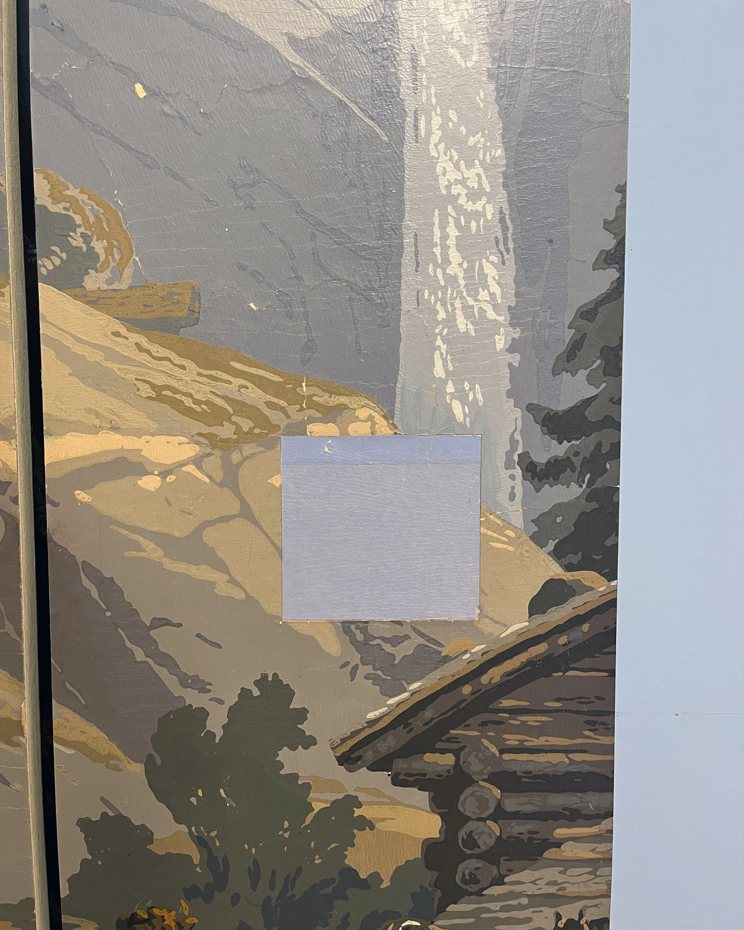 Before restoration of antique Zuber Les Zones Terrestres wallpaper