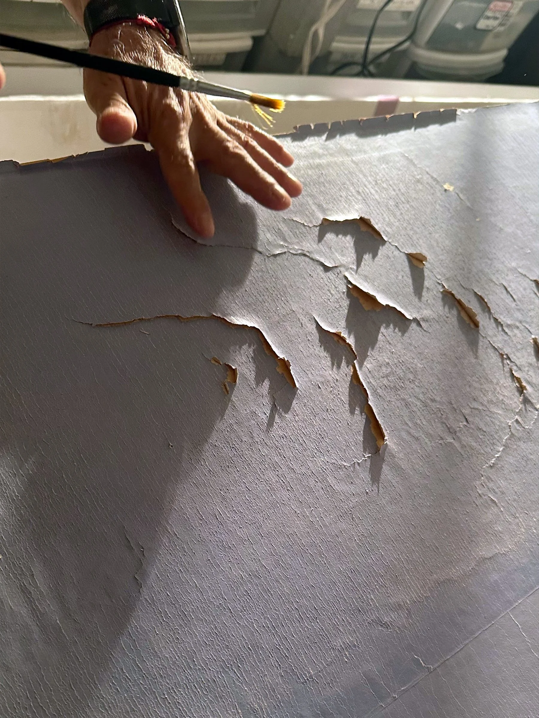 Antique Zuber Les Zones Terrestres scenic wallpaper being mounted on boards