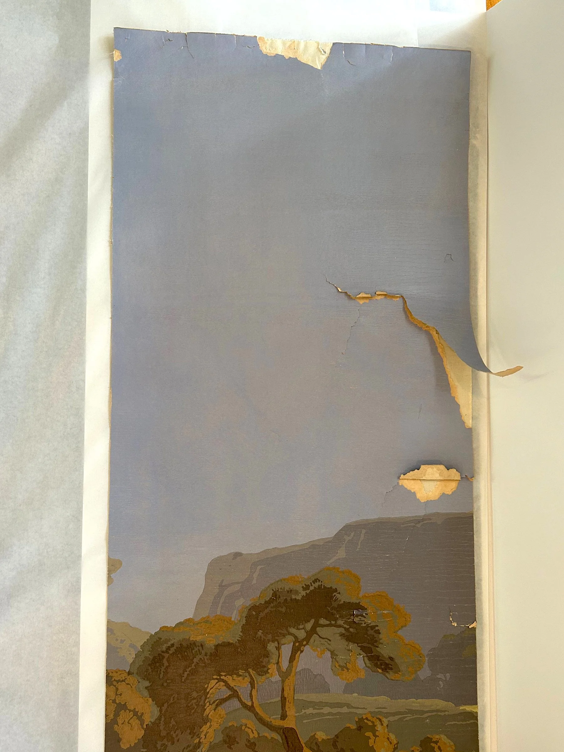 Close-up of damage and wear on Les Zones Terrestres wallpaper panels