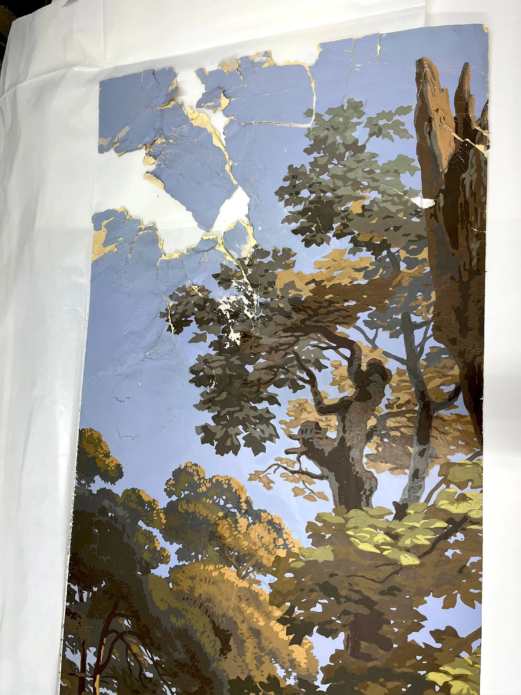 Close-up of damage and wear on Les Zones Terrestres wallpaper panels