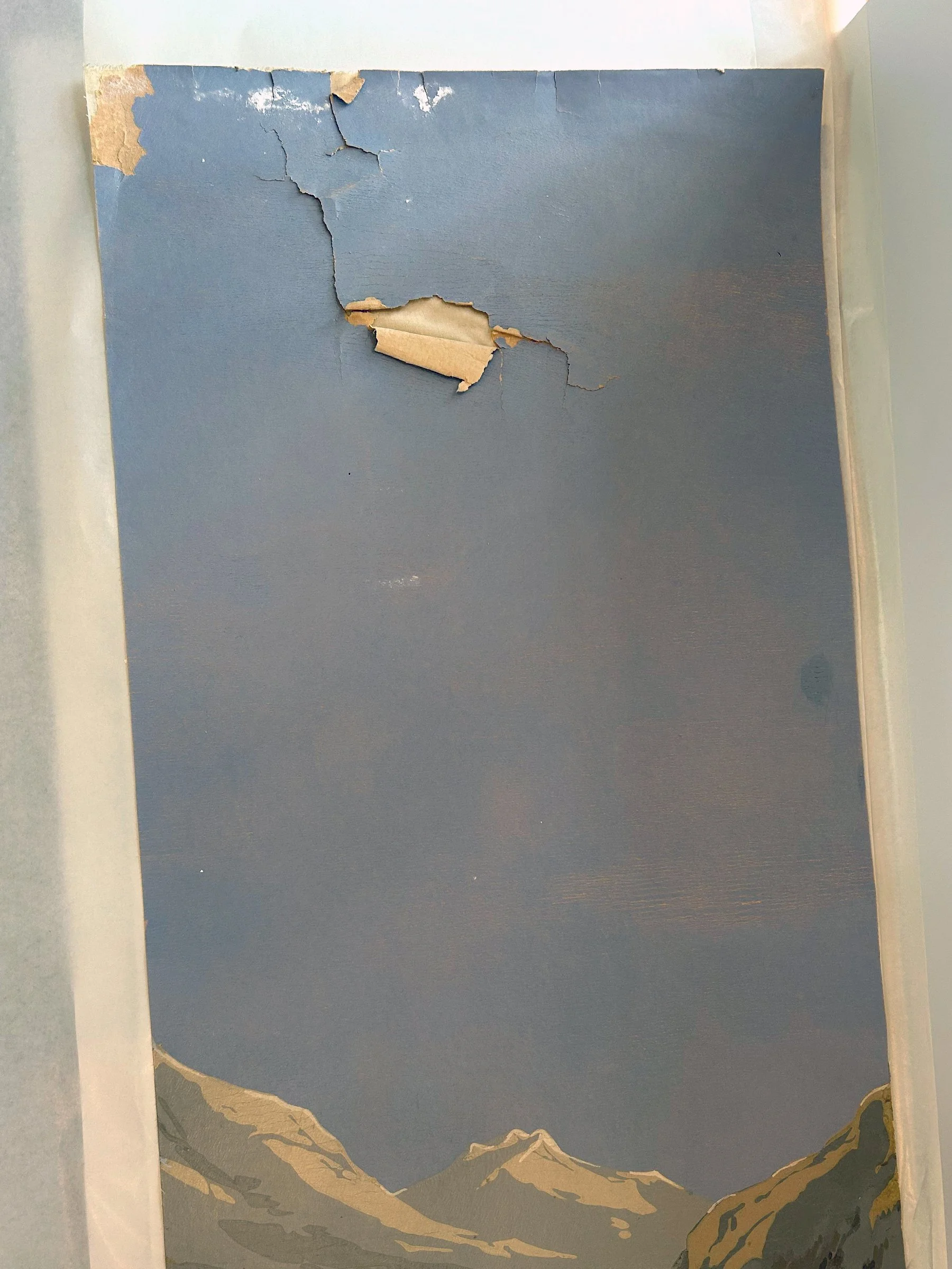 Close-up of damage and wear on Les Zones Terrestres wallpaper panels