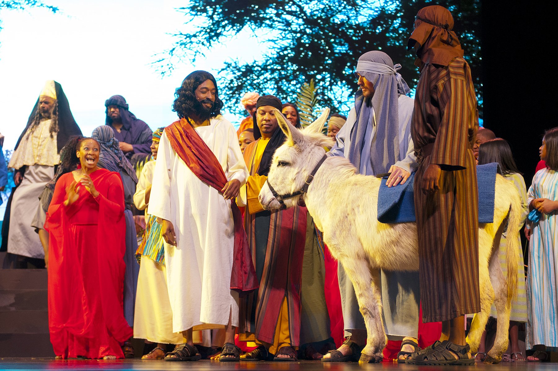 Triumphal Entry