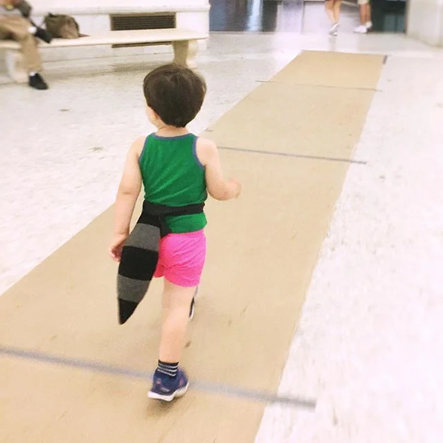 found a raccoon to follow around...