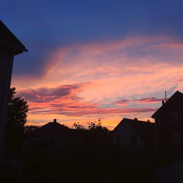 all this asphalt and concrete, parking lots, paved-over yards / I am so relieved for glimpses of the sky