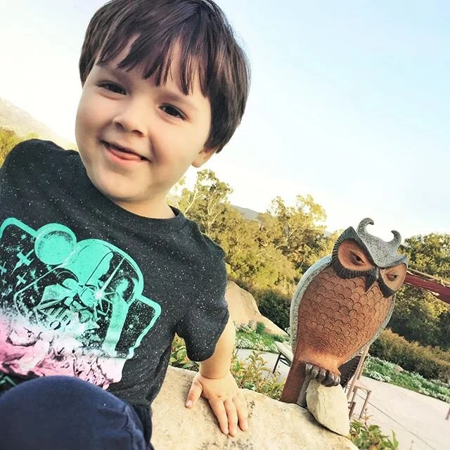 Happy Superb Owl Day!!!