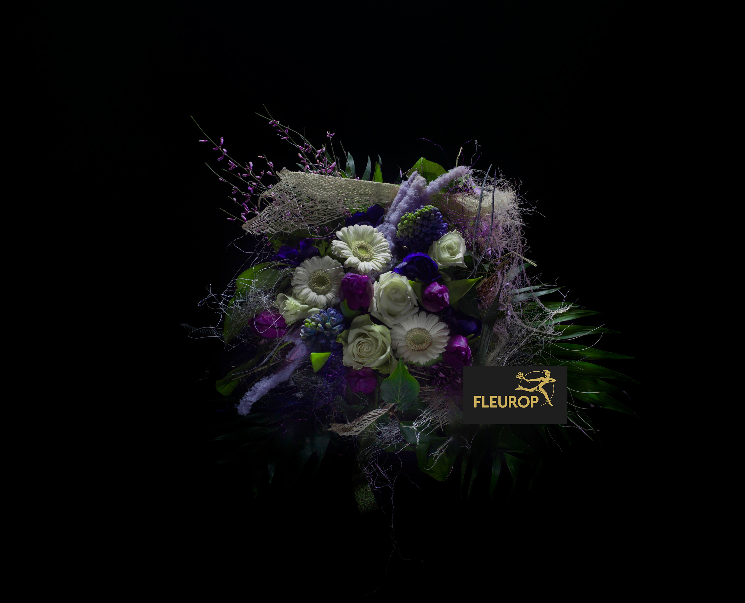 Blumen+Hadrigan-6+web.png