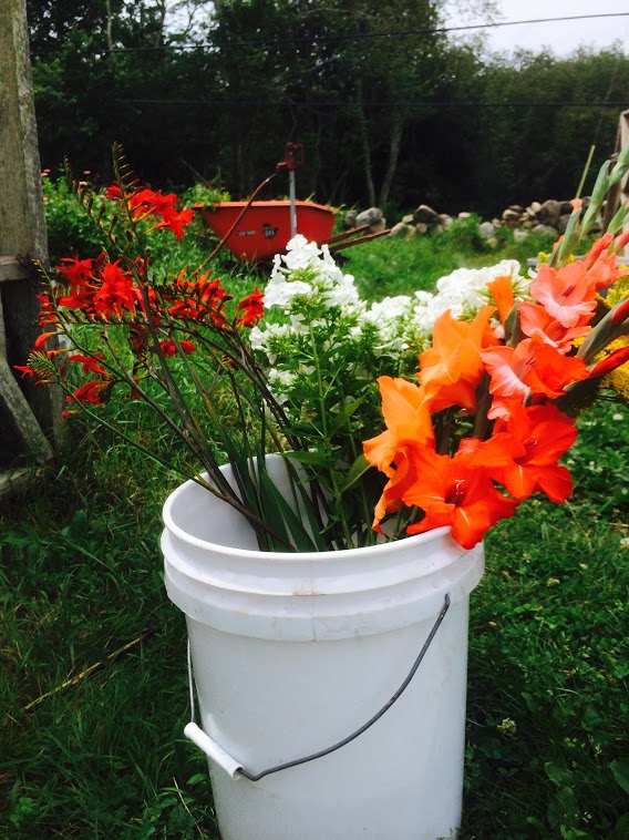 flower-bucket.jpg
