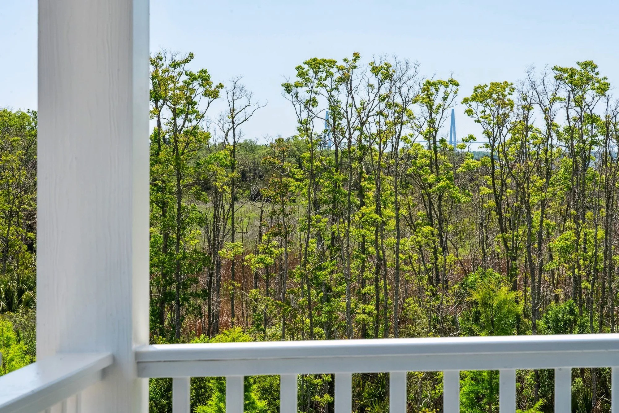 Marsh and tidal creek views from a custom Daniel Island SC waterfront home build