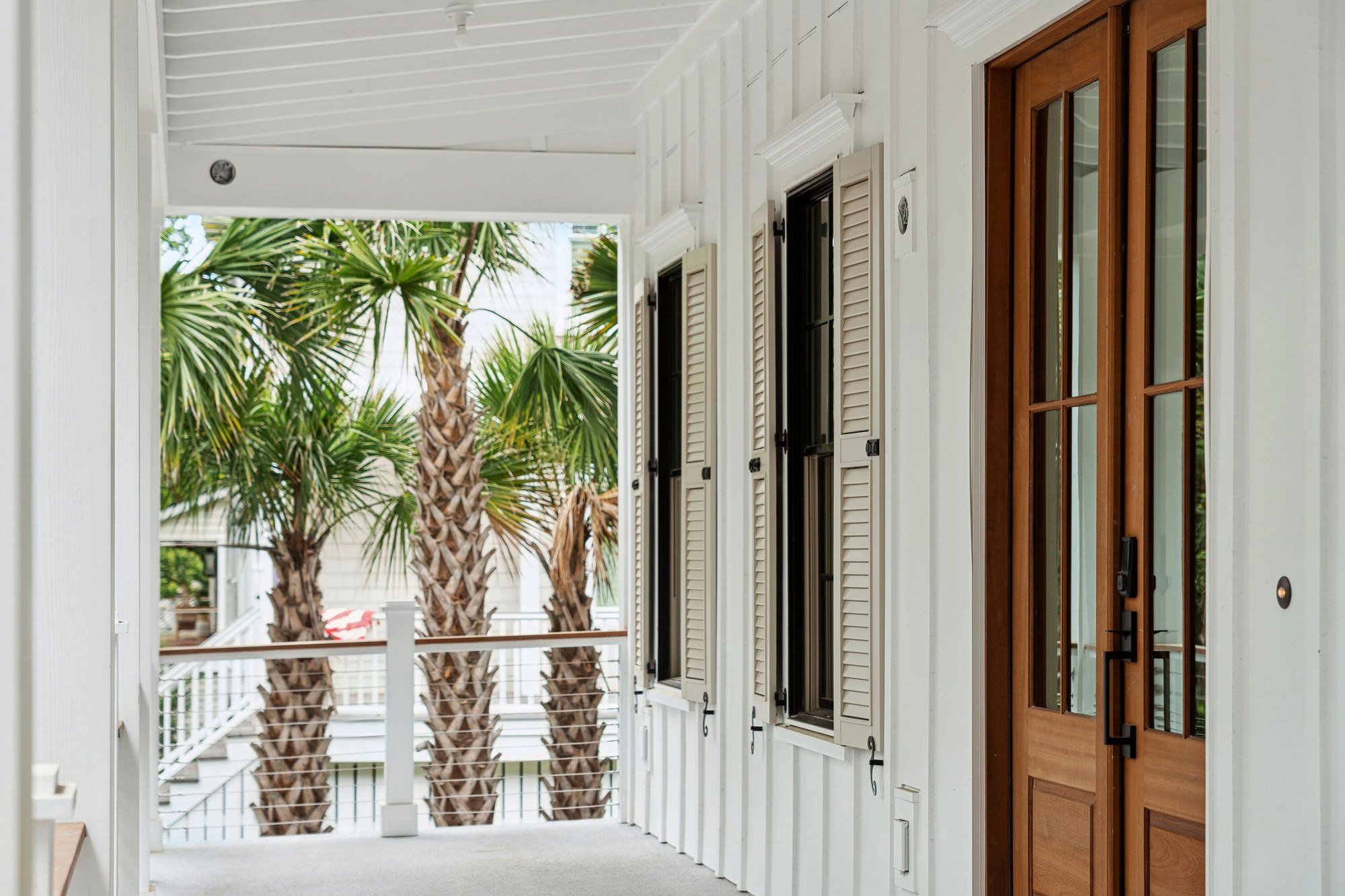 Front porch looking out through the palmettos.