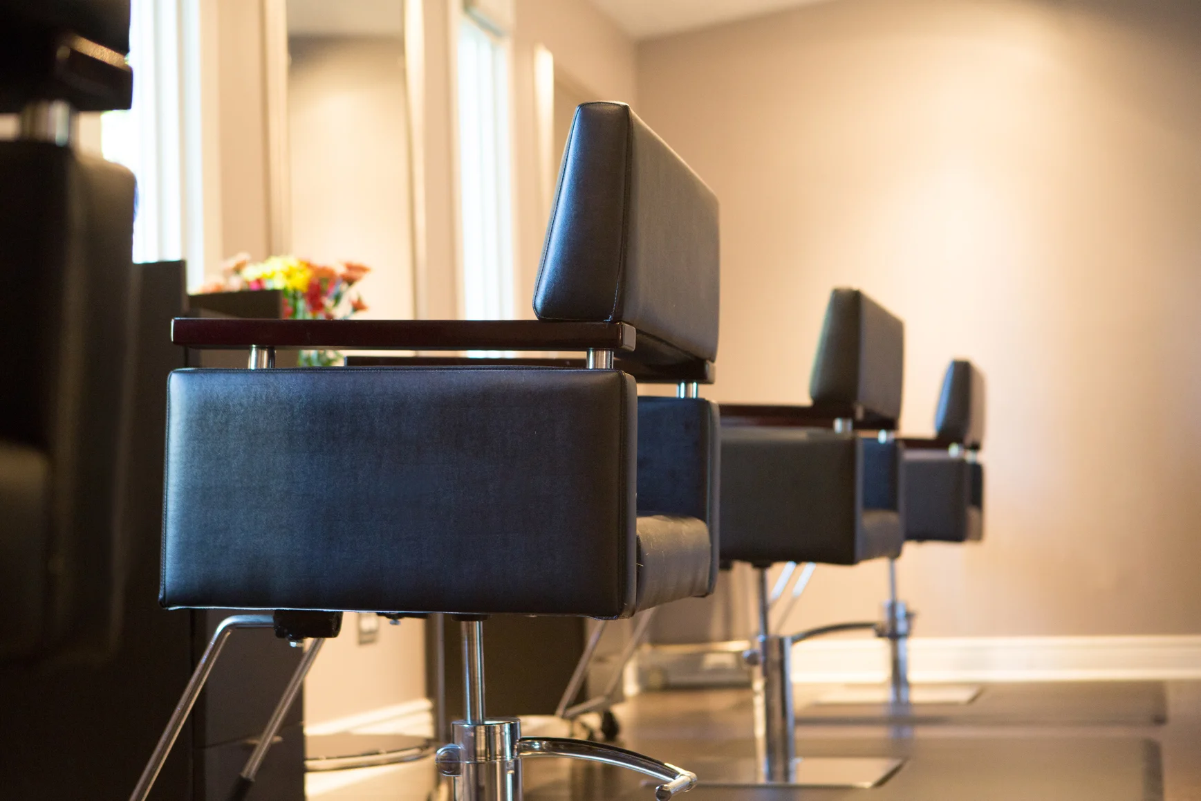 SR (Salon).jpg