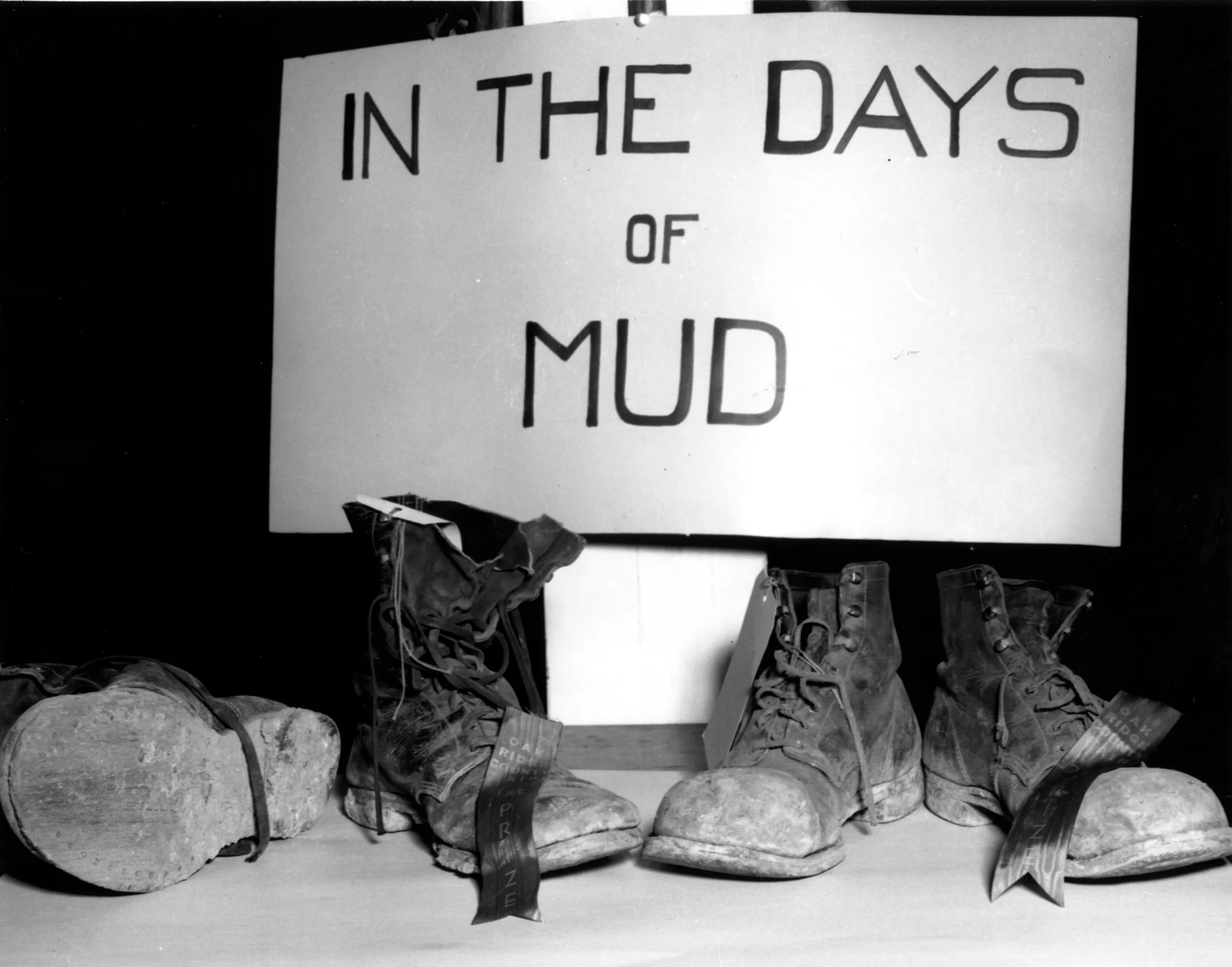 DaysofMud.jpg