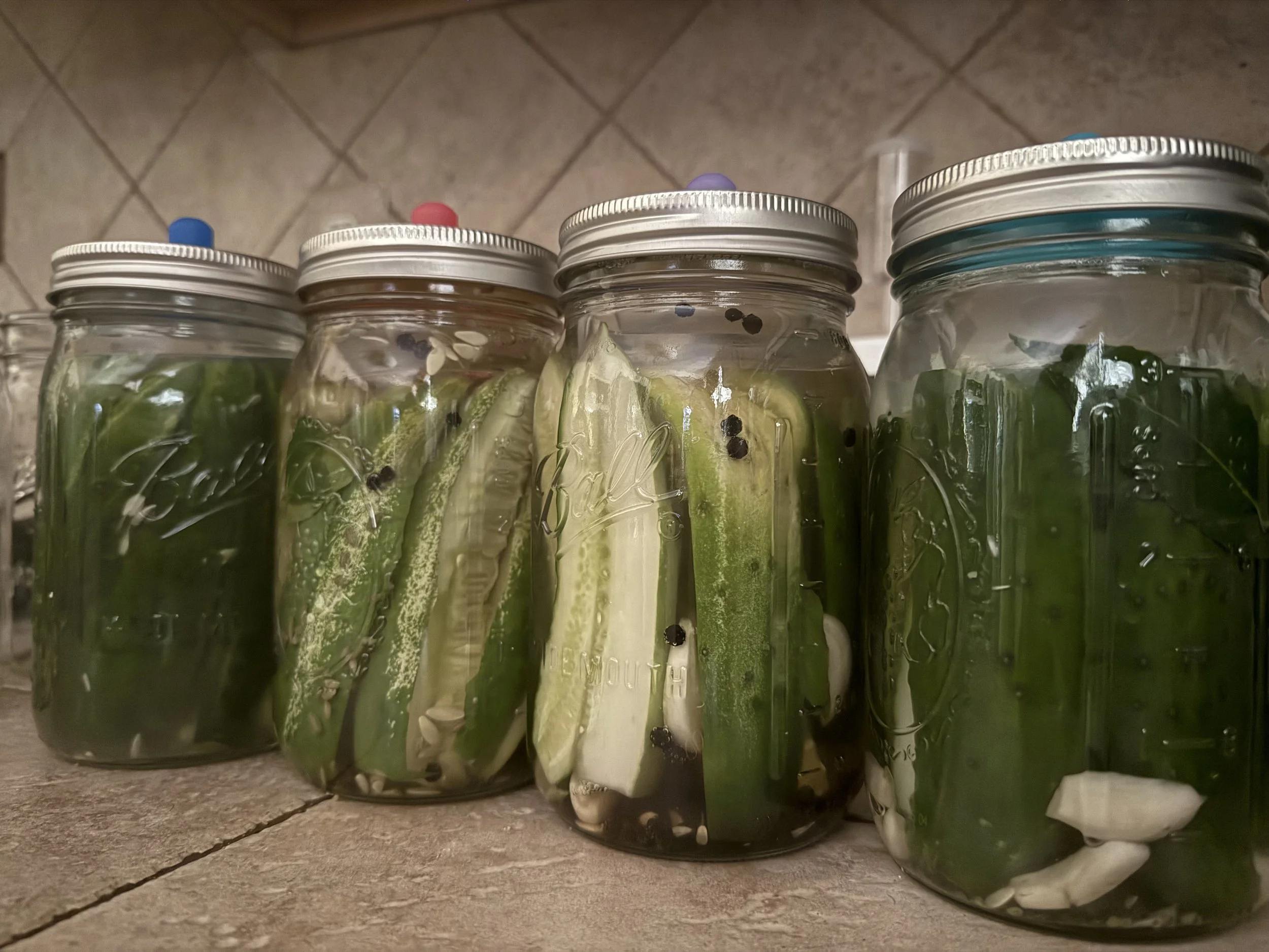 Fantastic Fermentables