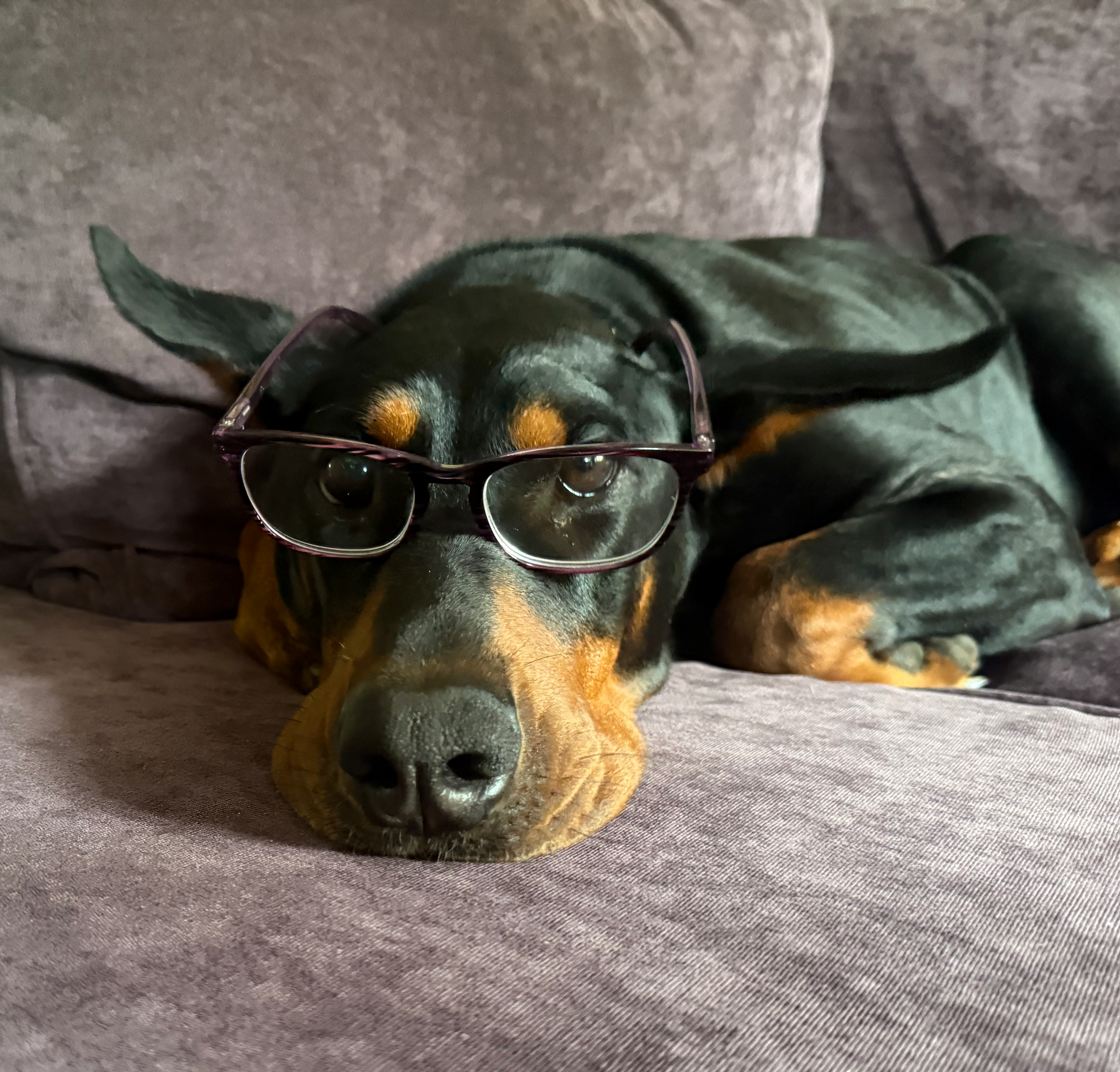 Bruno Research Assistant.png