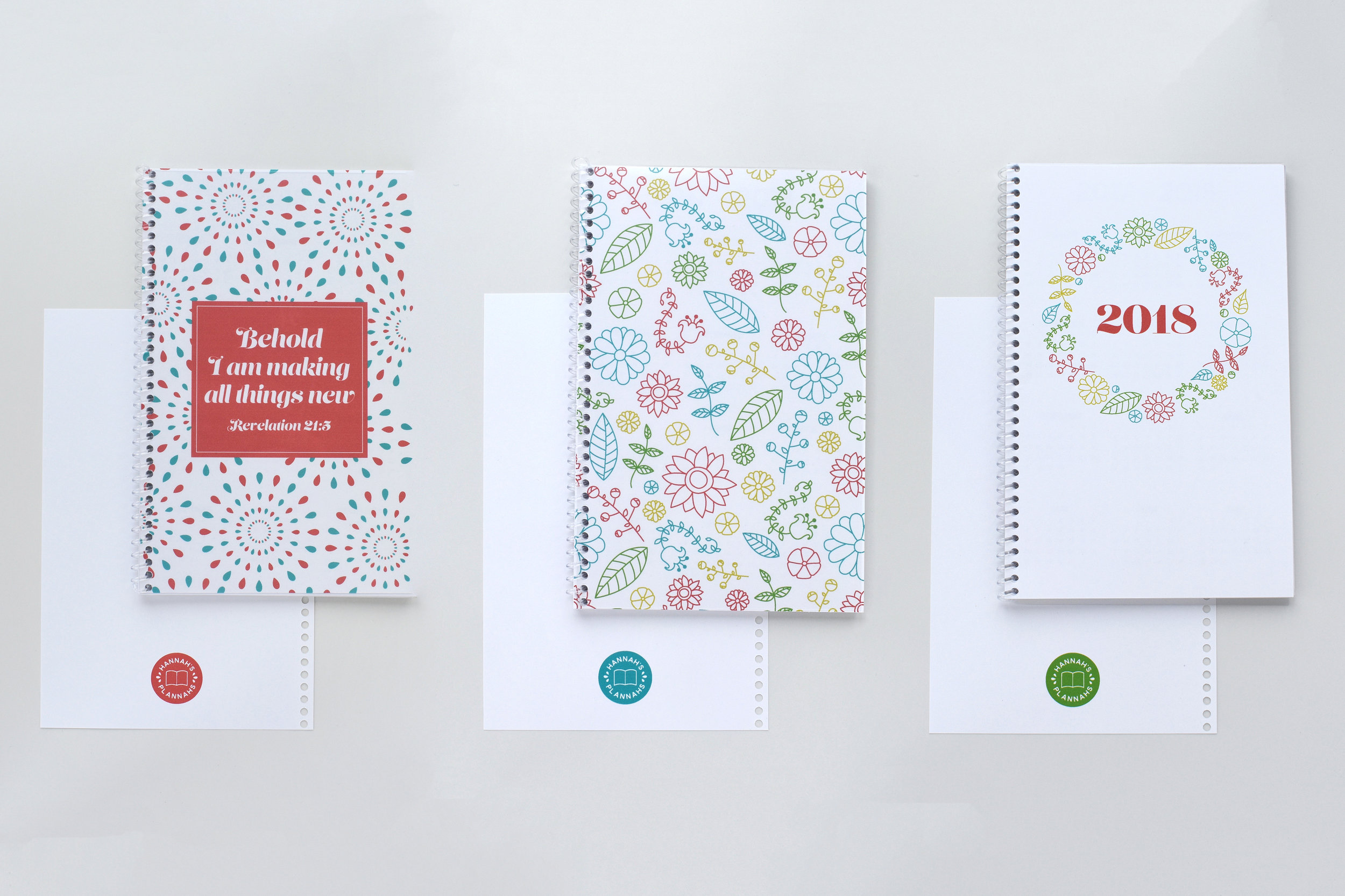 DSC_0534_Edited 3 Colors.jpg