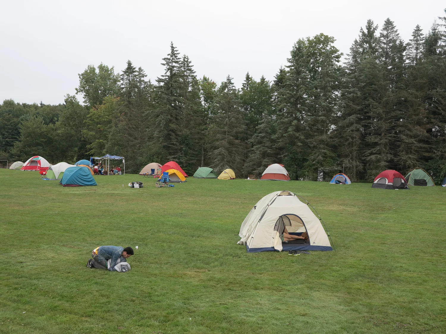 Tents, 2013