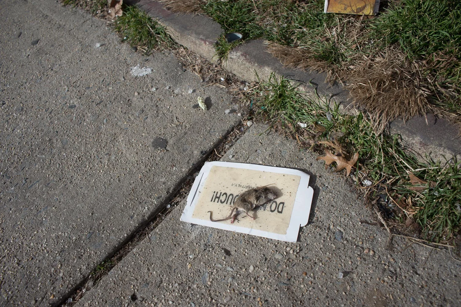 Do Not Touch, 2016