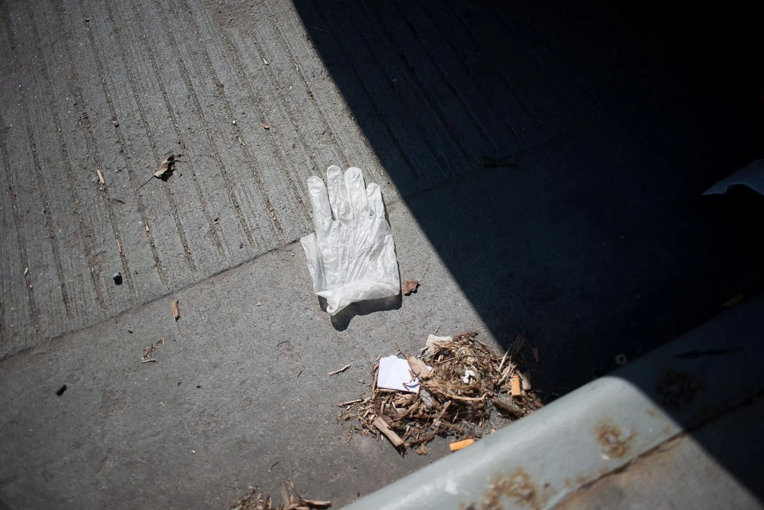 Can Hands, 2016