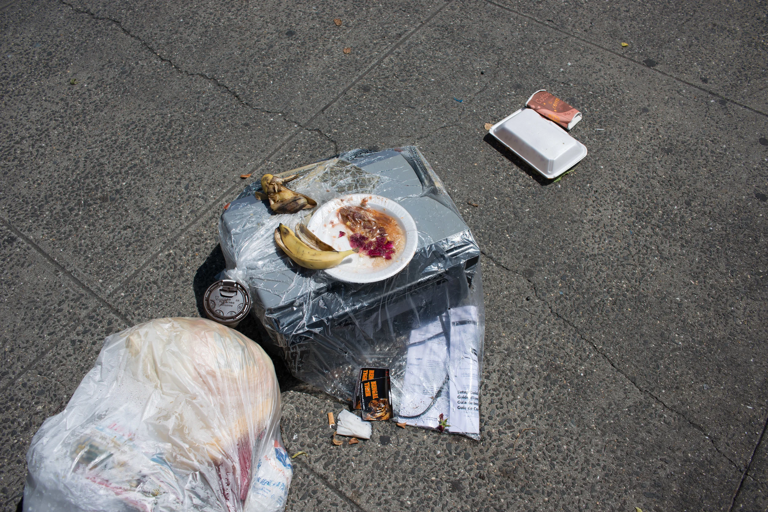 Picnic on a Printer, 2016