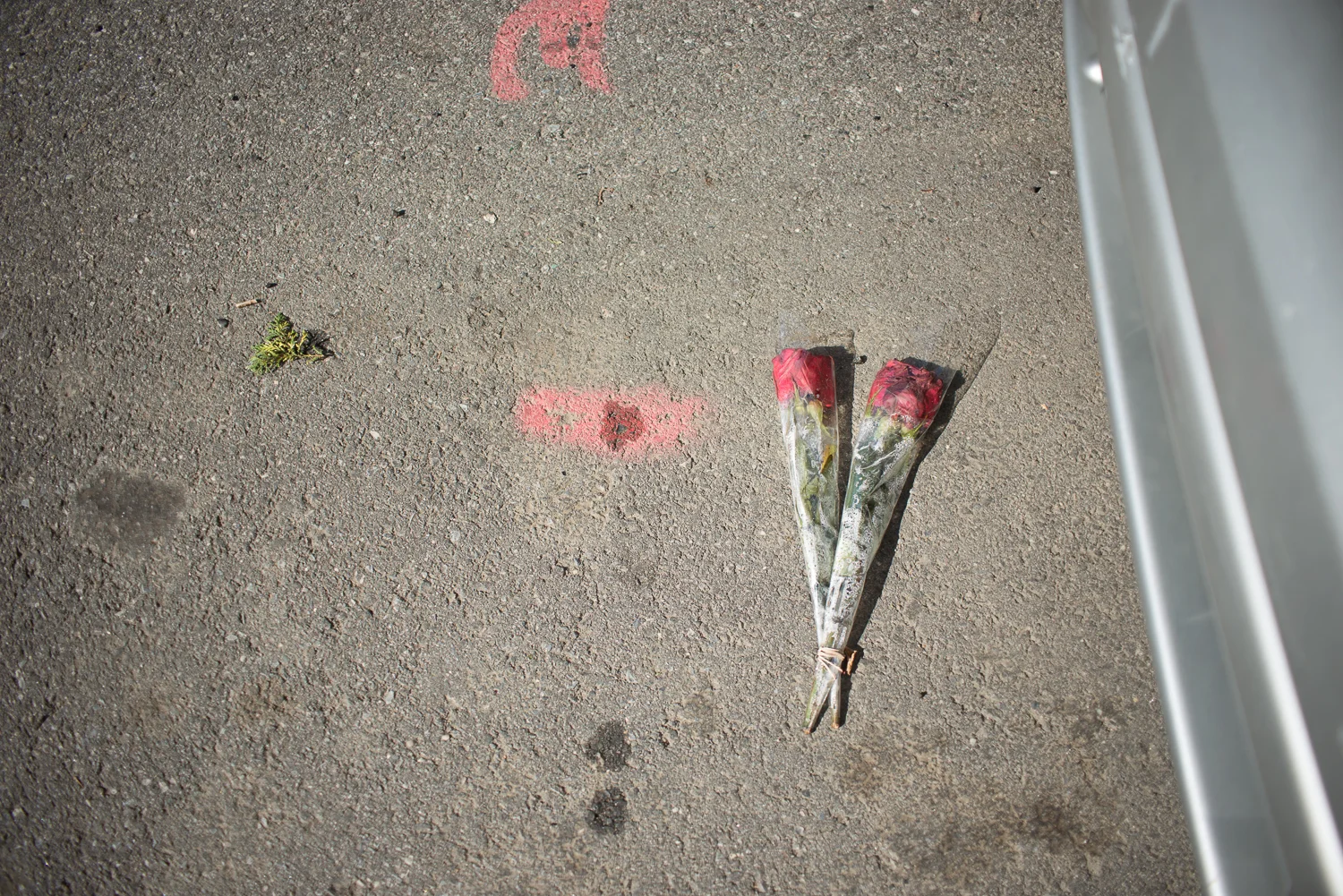 Say it with Flowers, 2016