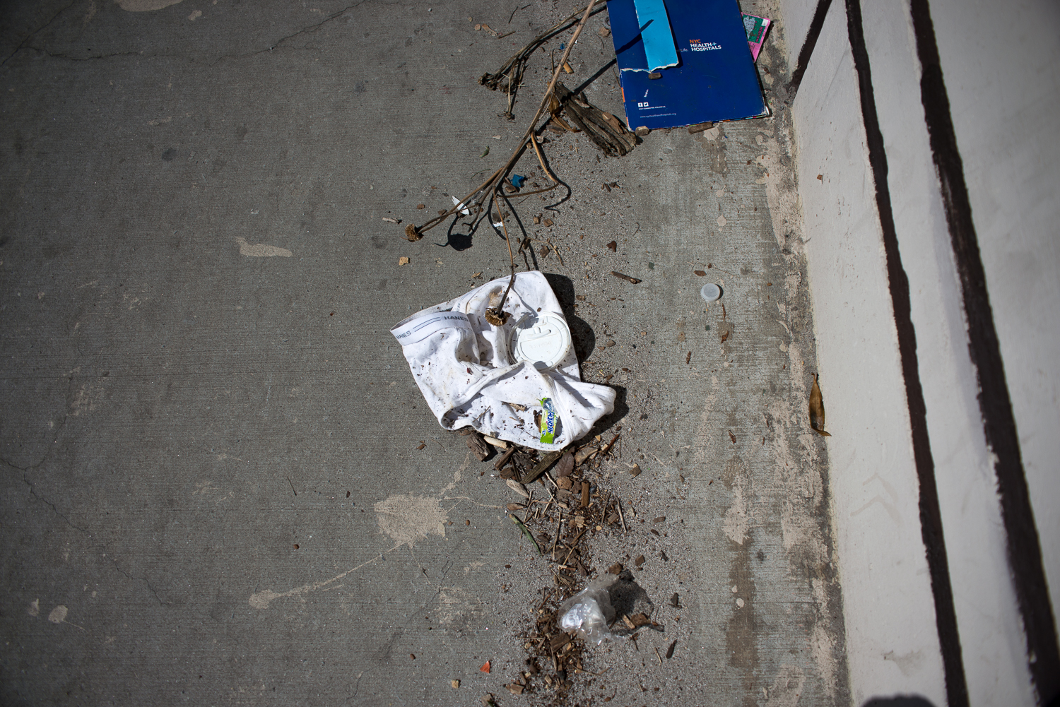 Undies on a Bridge, 2017